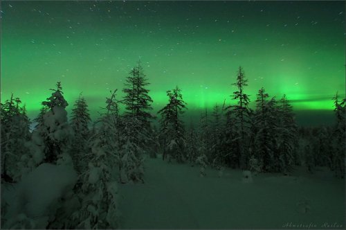 Северная колыбель человечества